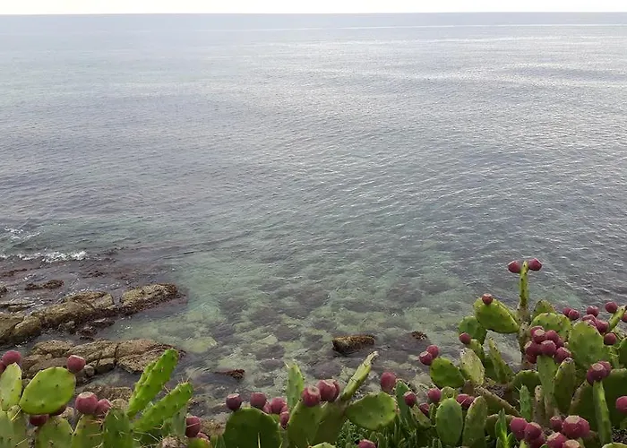 Maredentro * Sampieri
